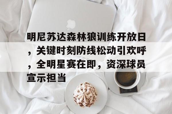 九游-明尼苏达森林狼训练开放日，关键时刻防线松动引欢呼，全明星赛在即，资深球员宣示担当的简单介绍